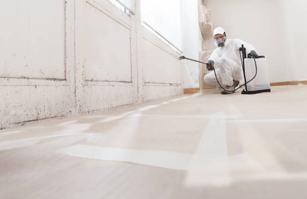 24/7 Emergency Mold Removal experts in Rockton, PA